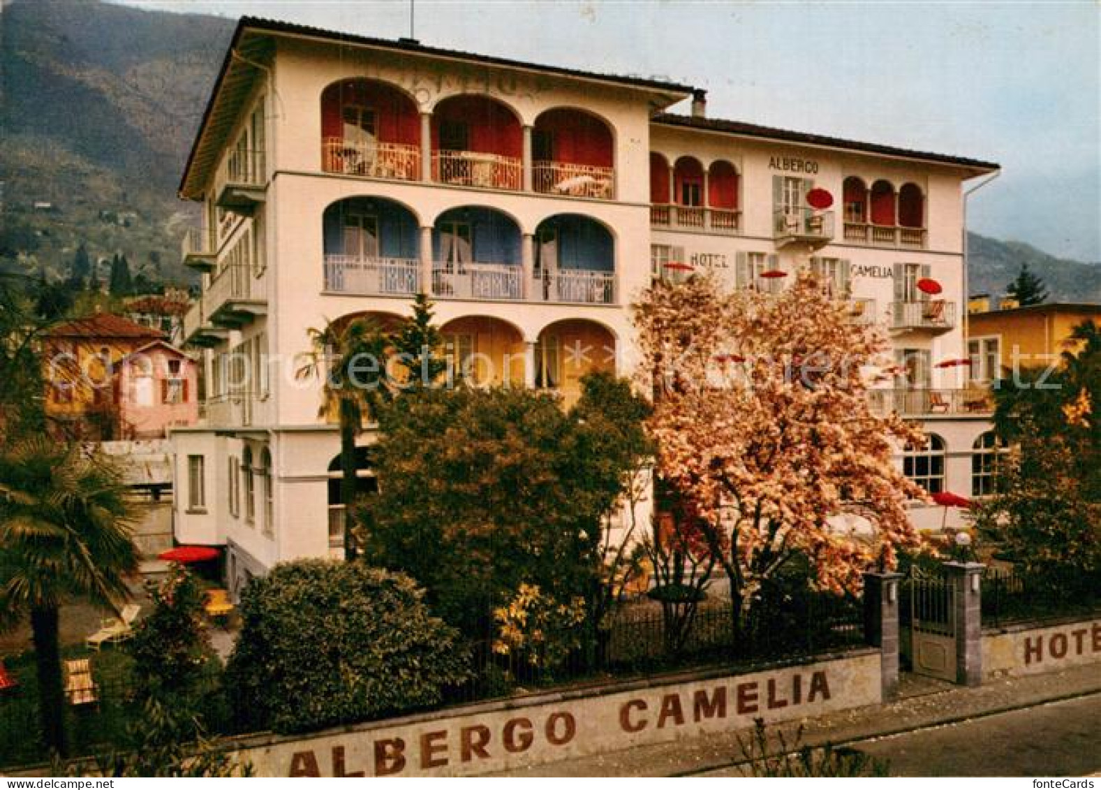 12974219 Locarno Lago Maggiore Hotel Camelia Locarno - Other & Unclassified