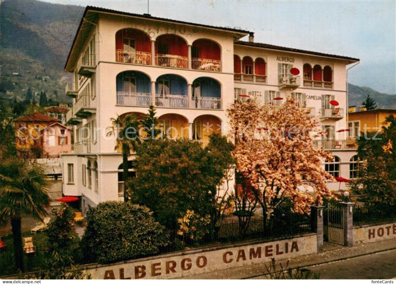 12974219 Locarno Lago Maggiore Hotel Camelia Locarno - Sonstige & Ohne Zuordnung