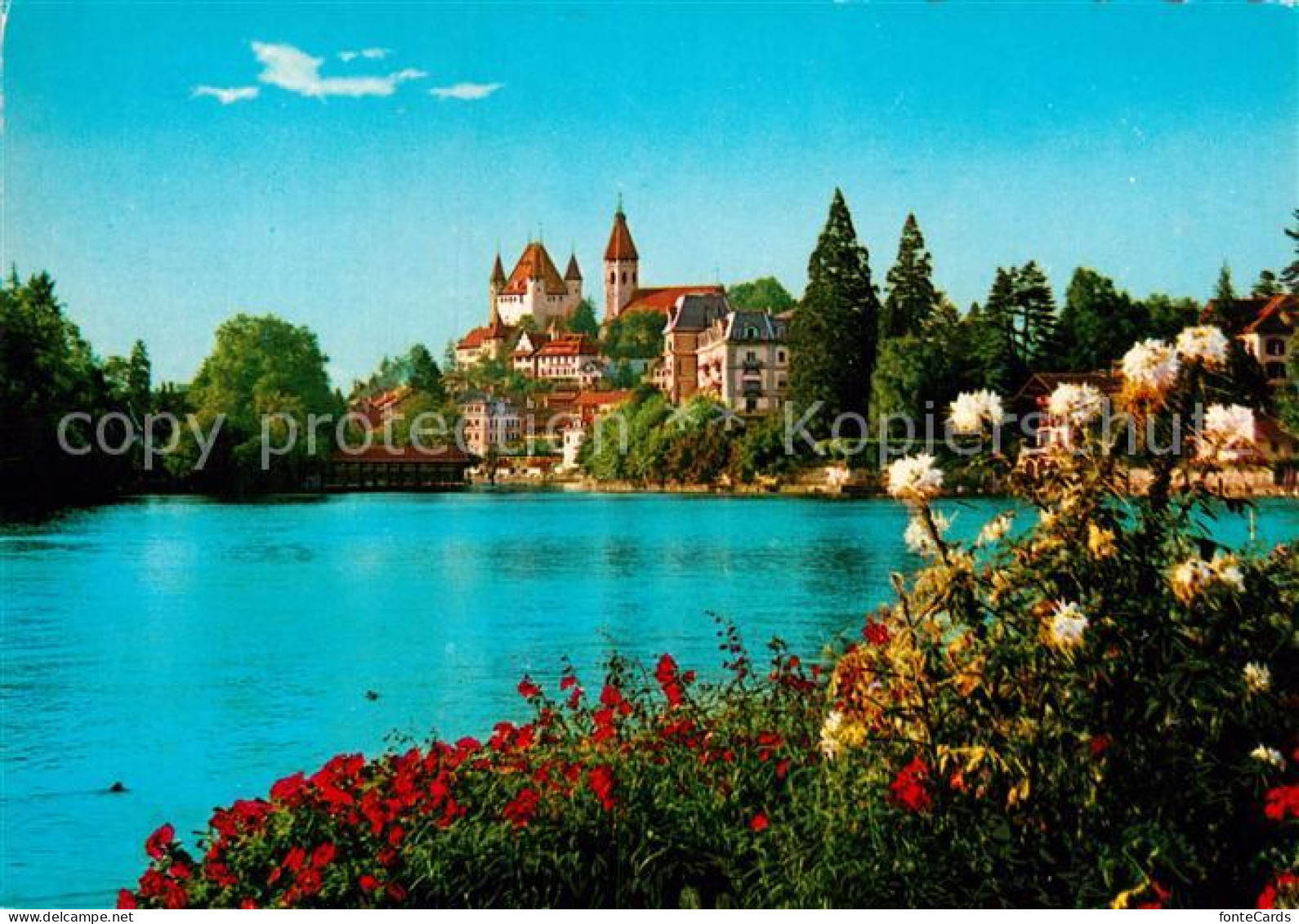 12944579 Thun BE Blick Auf See Und Schloss Thun - Other & Unclassified