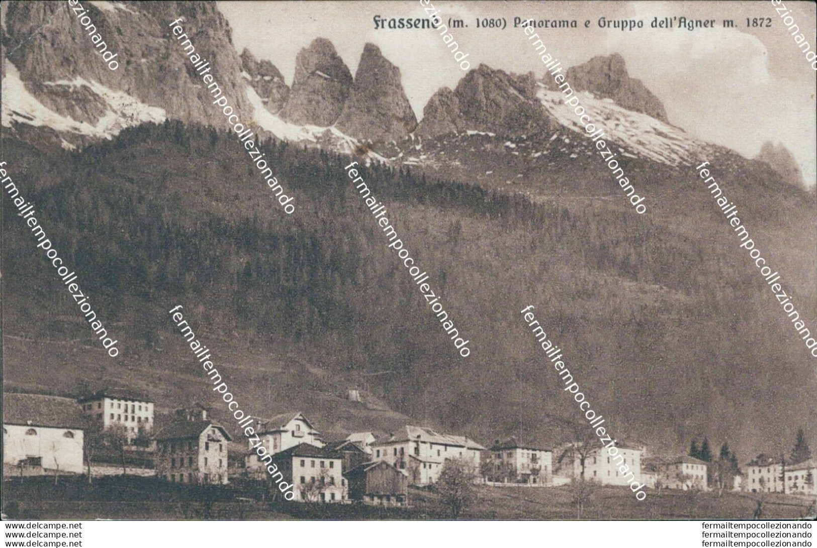 Bb266 Cartolina Frassene' Panorama E Gruppo Dell'agner Belluno Veneto - Belluno