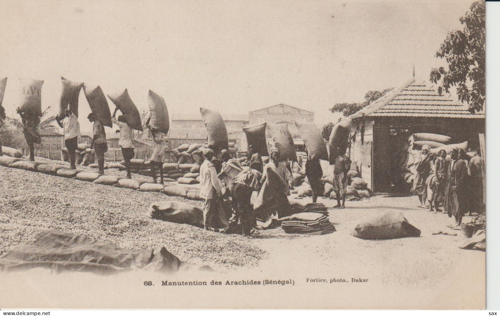 2420-135 Av 1905 N°68  Rufisque Manutention Arachides  Fortier Photo Dakar   Retrait Le 01-06 - Senegal