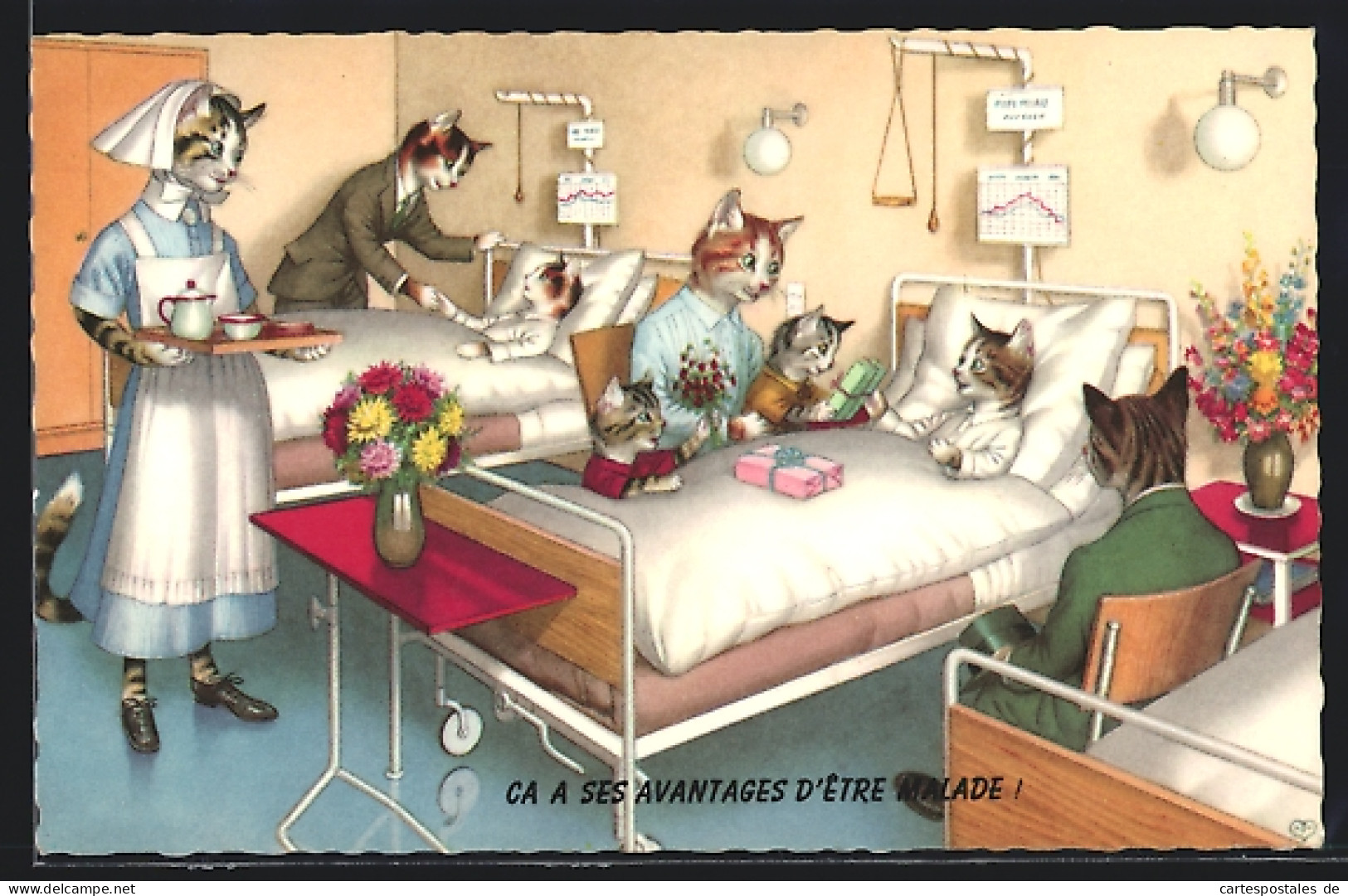 AK Katzen Bei Besuch Im Krankenhaus  - Gatti