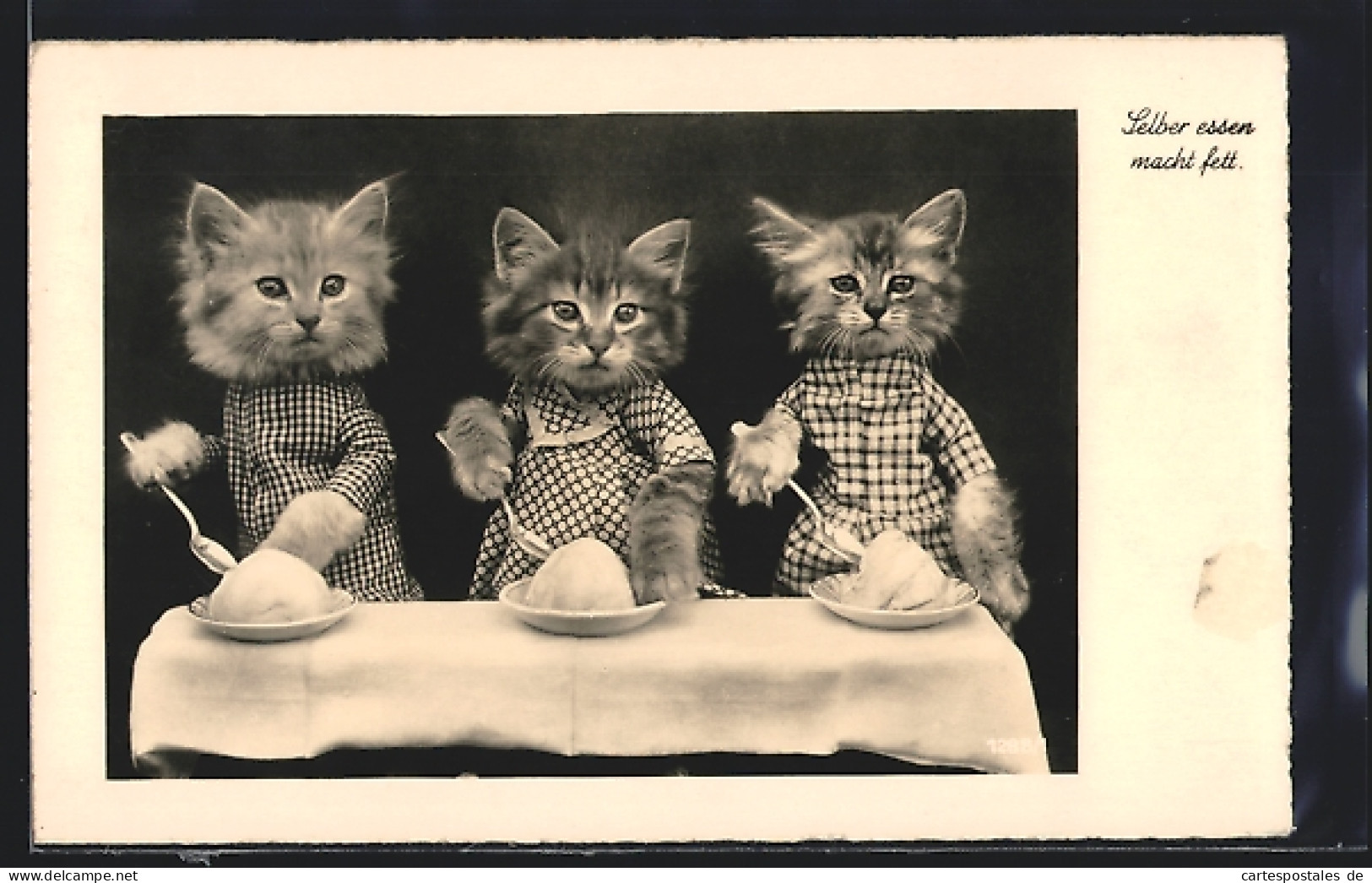 AK Drei Katzen In Kleidern Beim Essen, Vermenschlichte Tiere  - Other & Unclassified