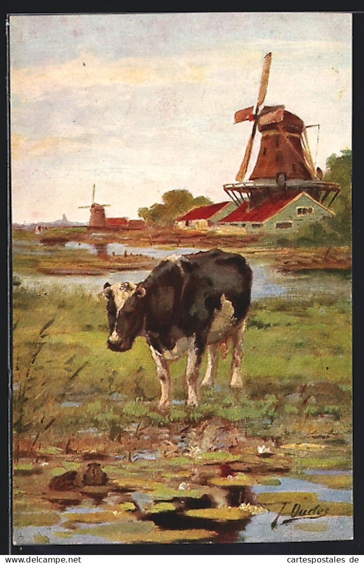Künstler-AK Kuh Auf Einer Marschwiese Vor Windmühlen  - Kühe