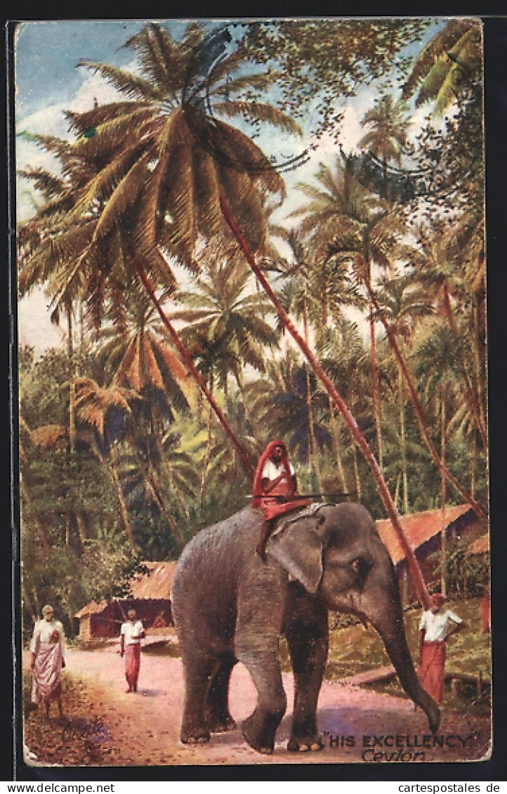 AK Elefant Mit Führer Auf Sich, Palmen Und Hütten, His Excellency Ceylon  - Elefanten