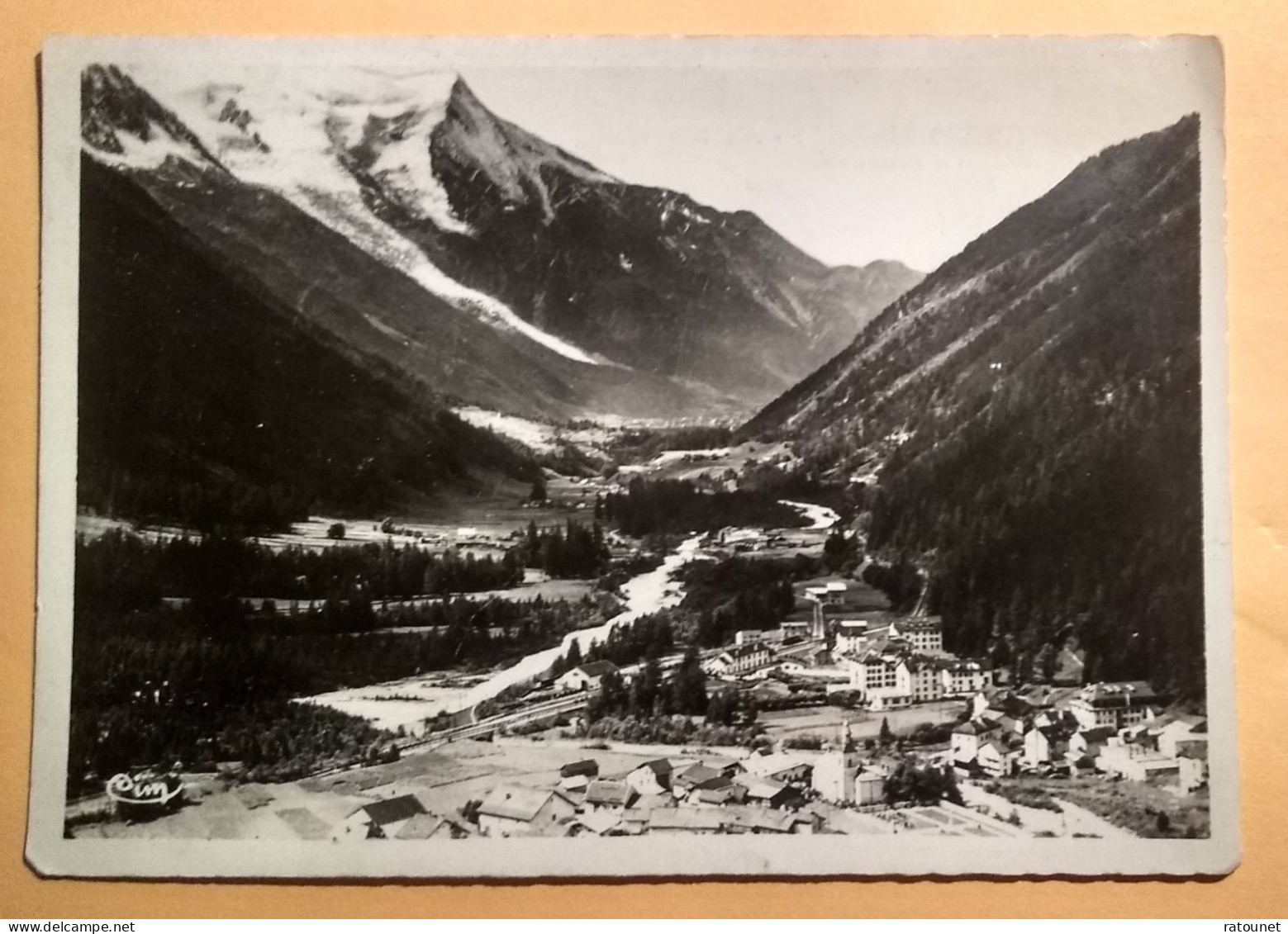 74 - Hte SAVOIE -  ARGENTIERES - CPSM - Vue Générale Et Le Mont Blanc - éd CIM - Autres & Non Classés