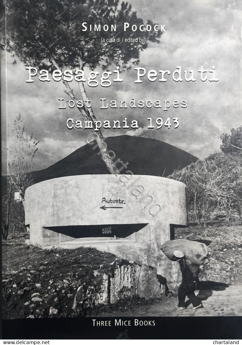 S. Pocock - Paesaggi Perduti / Lost Landscapes: Campania 1943 - Ed. 2011 - Autres & Non Classés