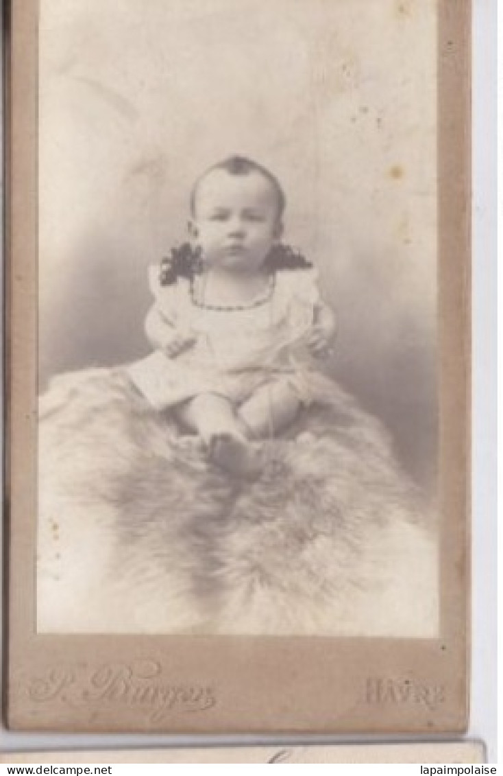 Photo C D V Havre Bébé Assis Sur Une Fourrure  Photo J Burger Le Havre  Réf 30571 - Identified Persons