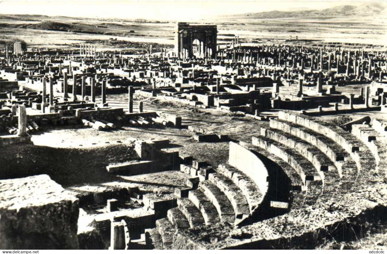 TIMGAD Les Ruines RV - Other & Unclassified