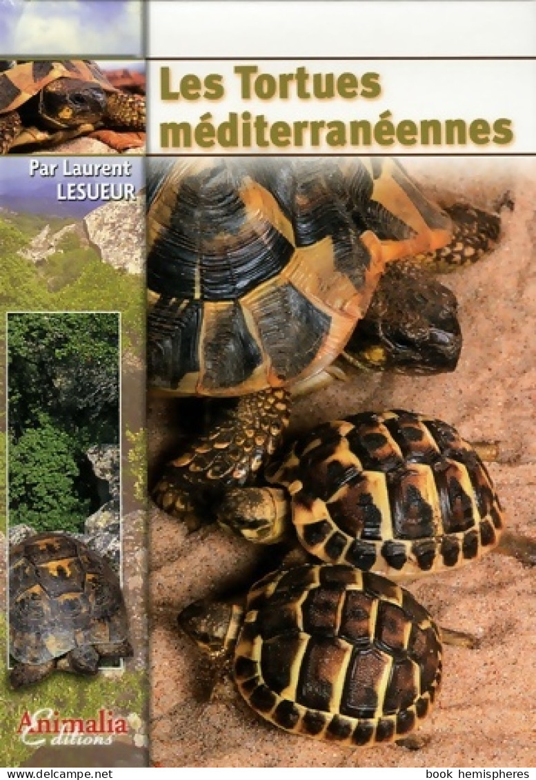 Les Tortues Méditerranéennes (2007) De Laurent Lesueur - Tiere