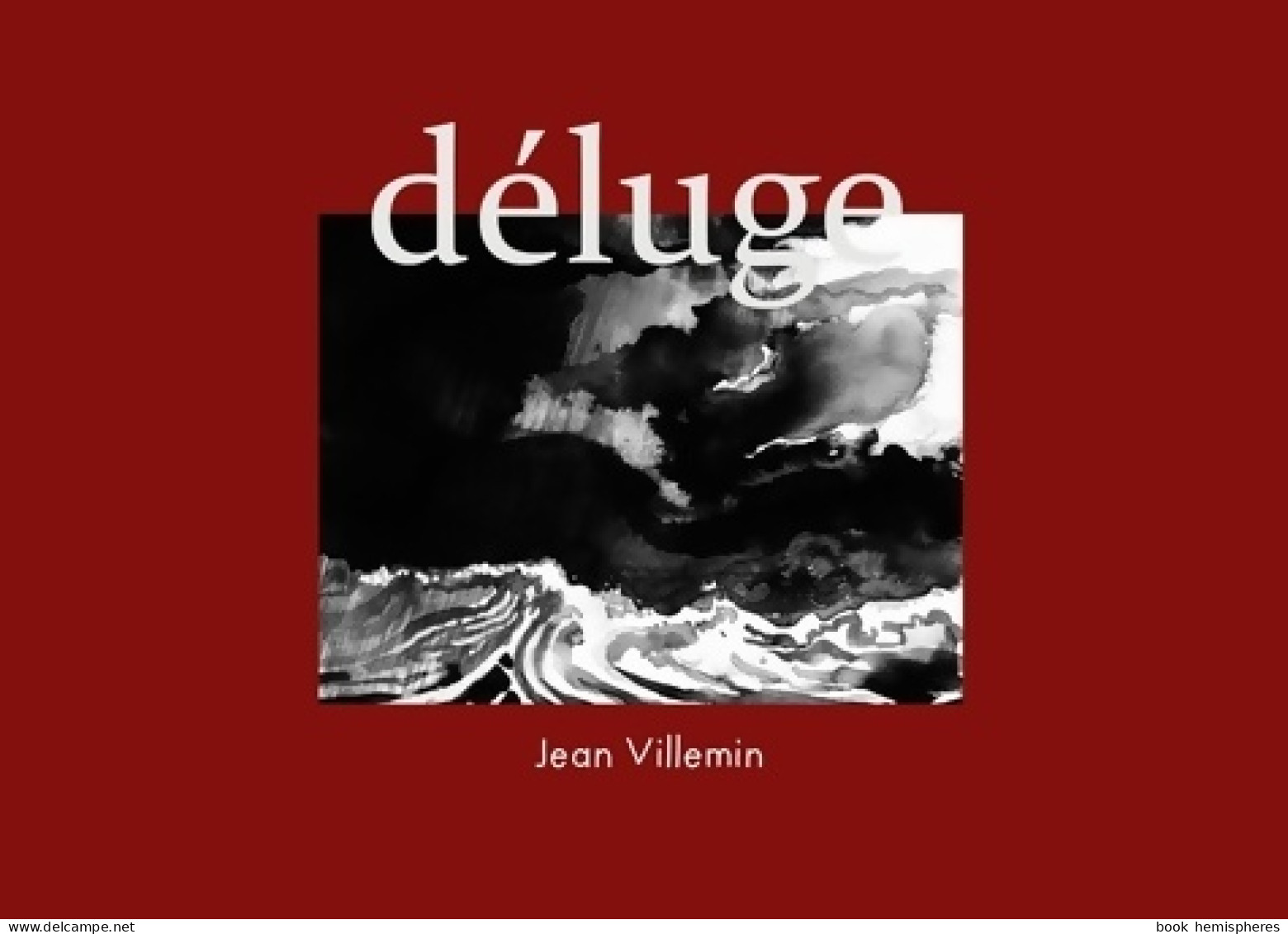 Déluge (2021) De Jean Villemin - Other & Unclassified