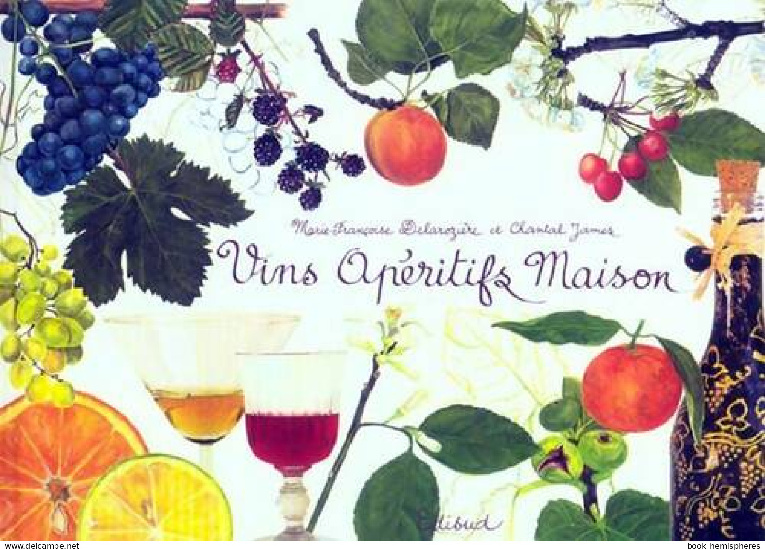 Vins Apéritifs Maison (2011) De Marie-Françoise Delarozière - Gastronomía