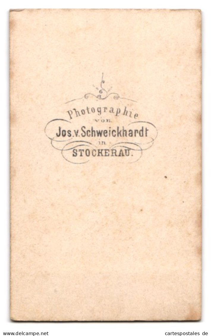 Fotografie Jos. V. Schweickhardt, Stockerau, Junge Hübsche Dame Mit Kreuzkette  - Anonyme Personen