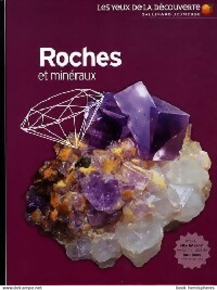 Roches Et Minéraux (2009) De R.F. Symes - Sonstige & Ohne Zuordnung