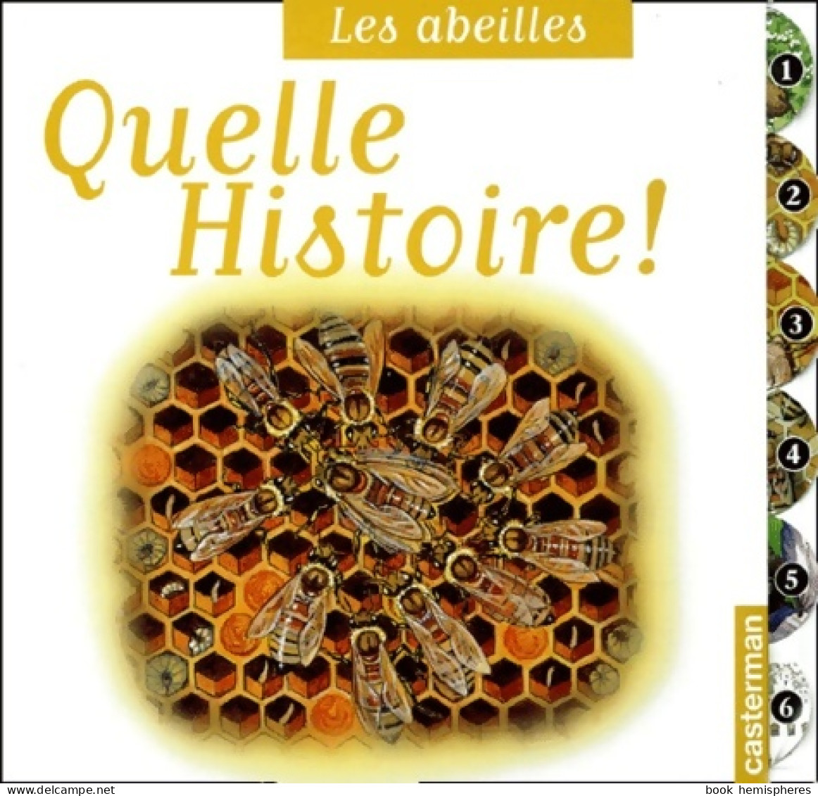 Quelle Histoire ! Les Abeilles (2001) De Vincent Albouy - Autres & Non Classés