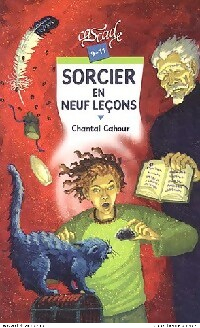 Moi, Sorcier En Neuf Leçons (2005) De Chantal Cahour - Other & Unclassified