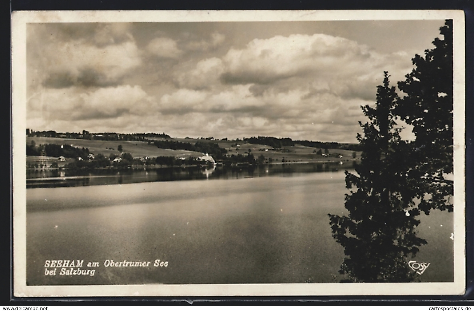 AK Seeham Am Obertrumer See, Panorama, Vom See Gesehen  - Altri & Non Classificati