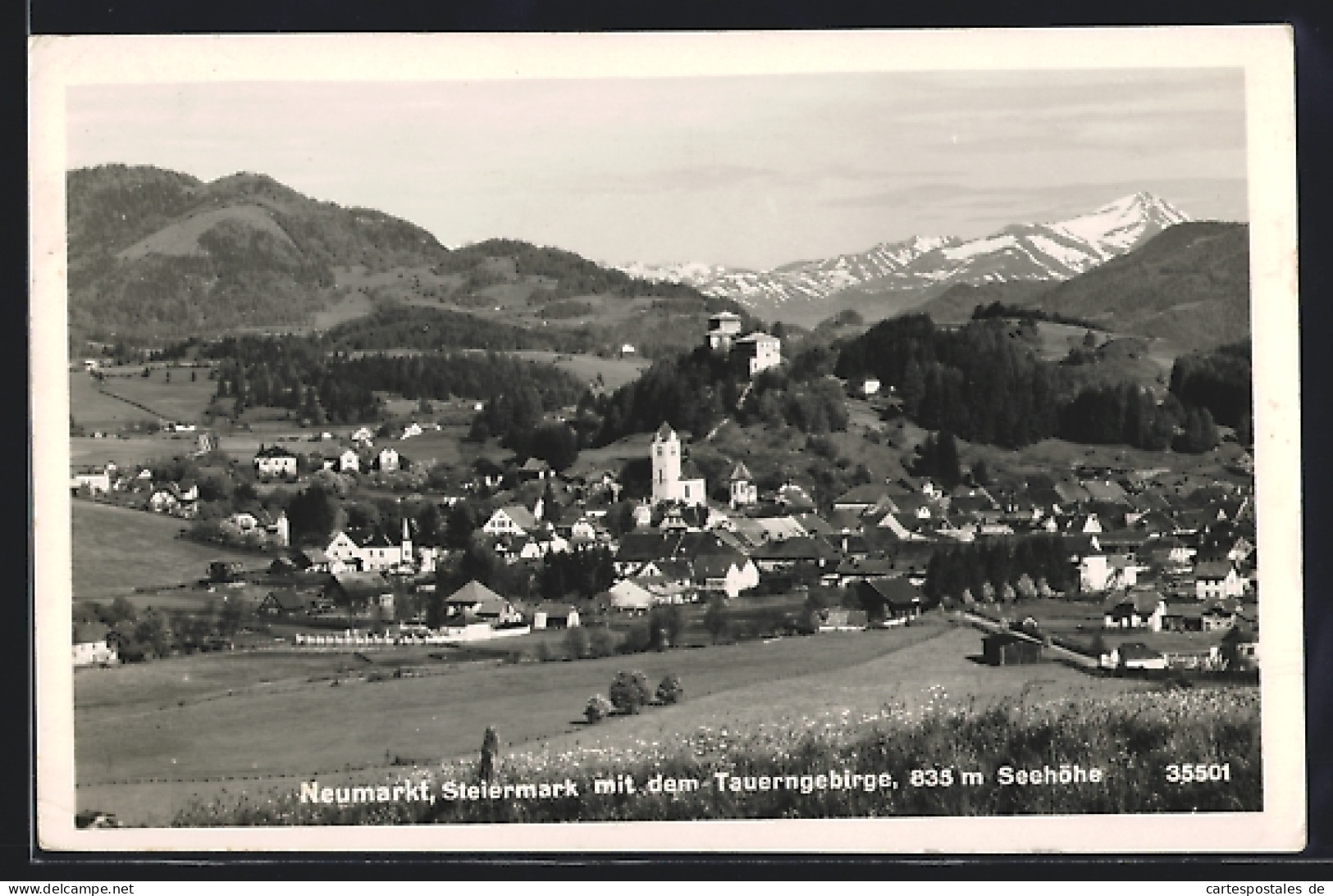 AK Neumarkt /Steiermark, Totalansicht Mit Tauerngebirge  - Other & Unclassified