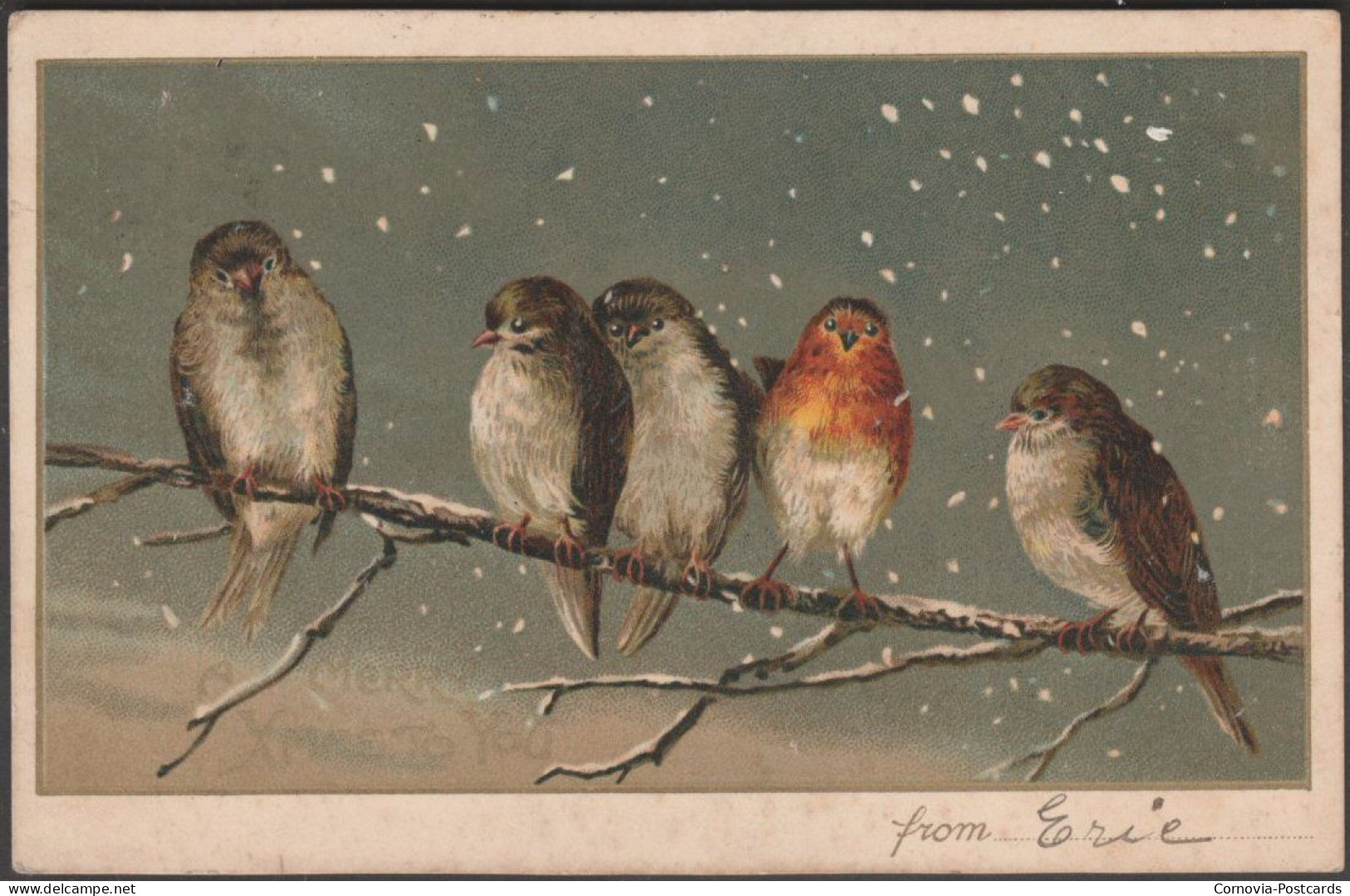 A Merry Xmas To You, 1904 - Postcard - Sonstige & Ohne Zuordnung