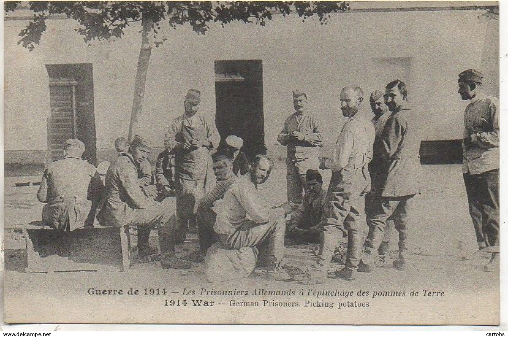 Guerre 14-18  Les Prisonniers Allemands à L'épluchage Des Pommes De Terre - War 1914-18
