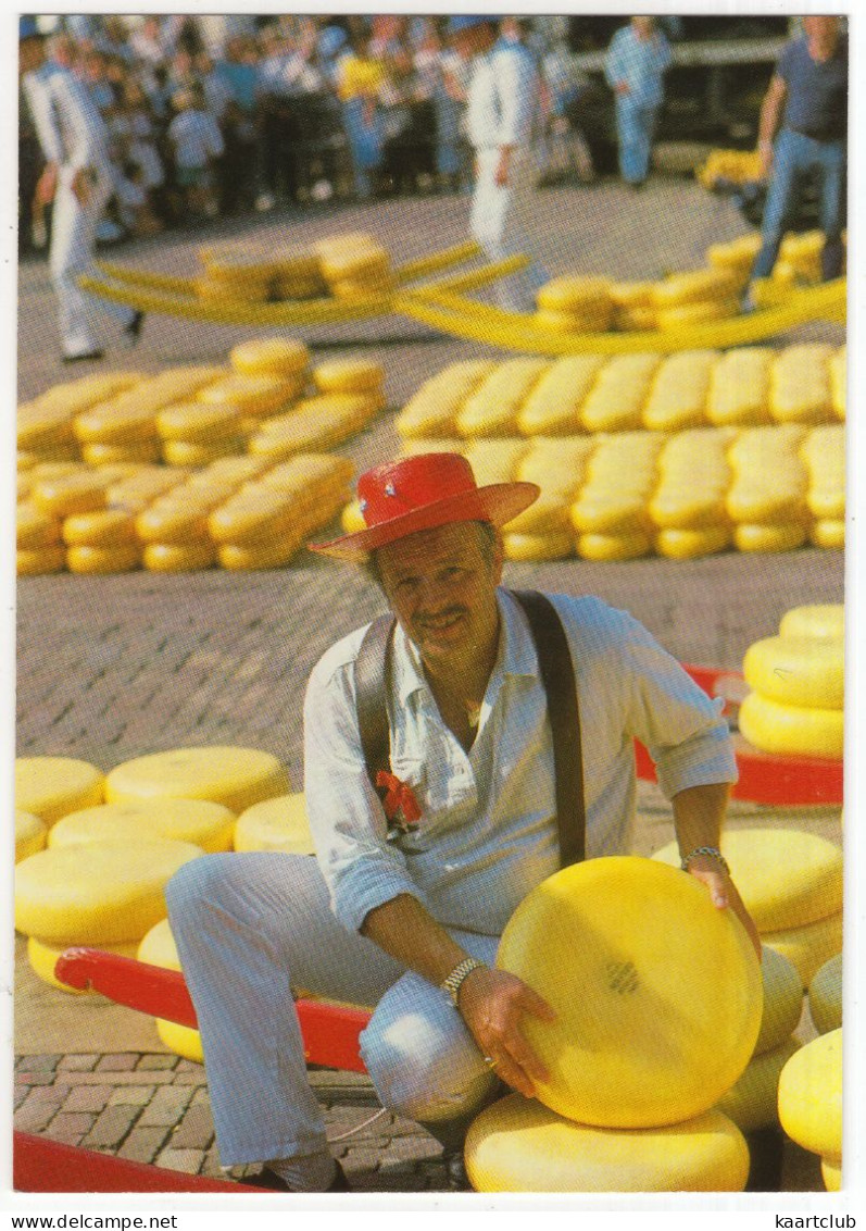 Alkmaar, Kaasmarkt - (Nederland/Holland) - Cheese-market - Alkmaar