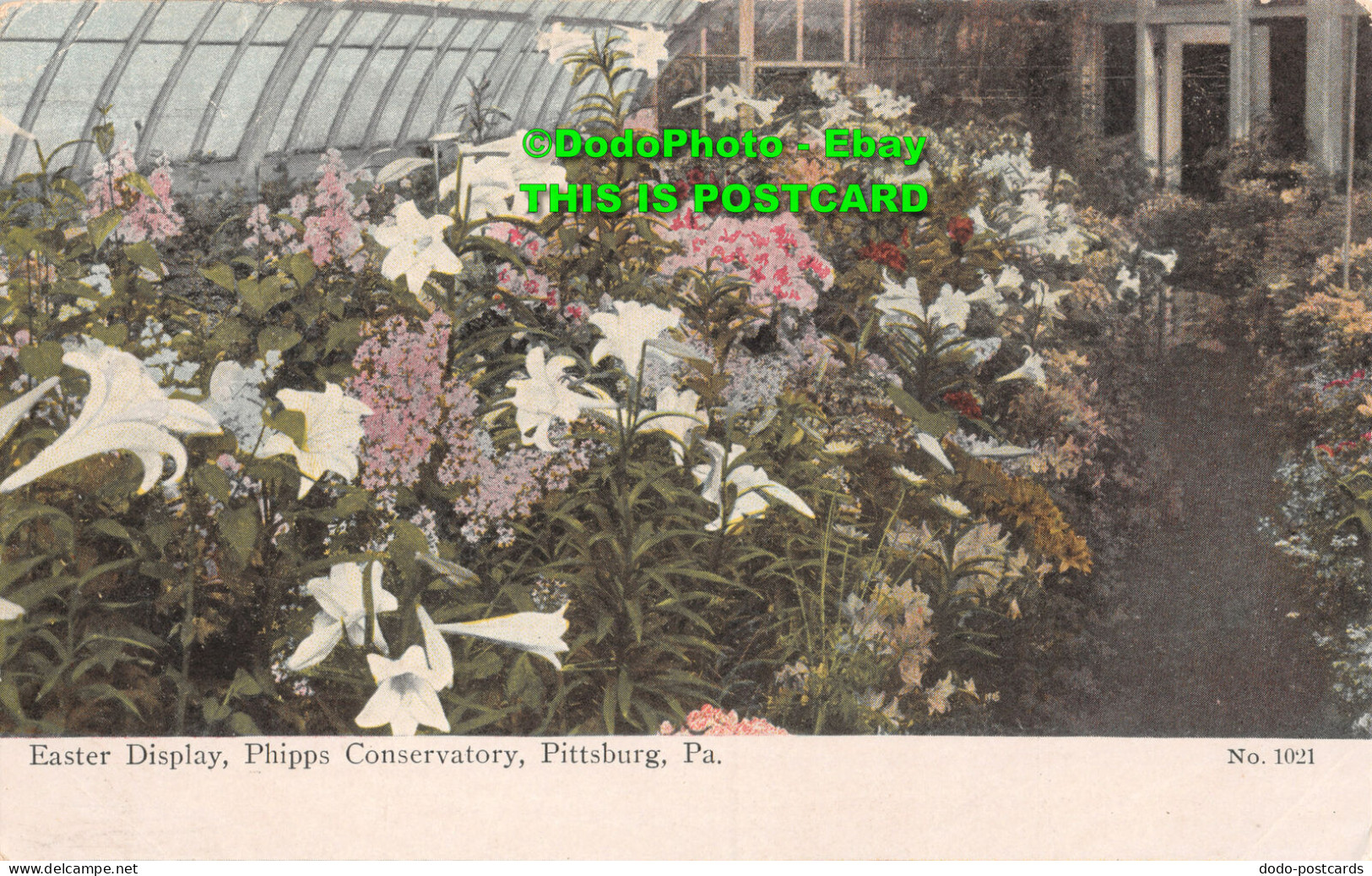 R356755 Easter Display. Phipps Conservatory. Pittsburg. Pa. No. 1021 - World