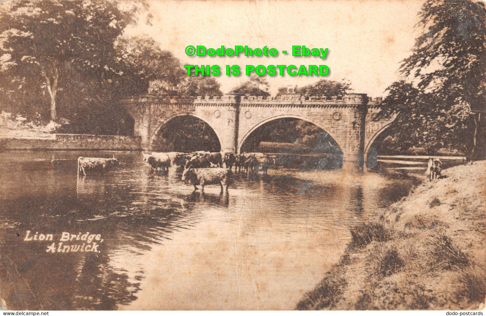 R356164 Lion Bridge. Alnwick. A. Tweedy. 1916 - World