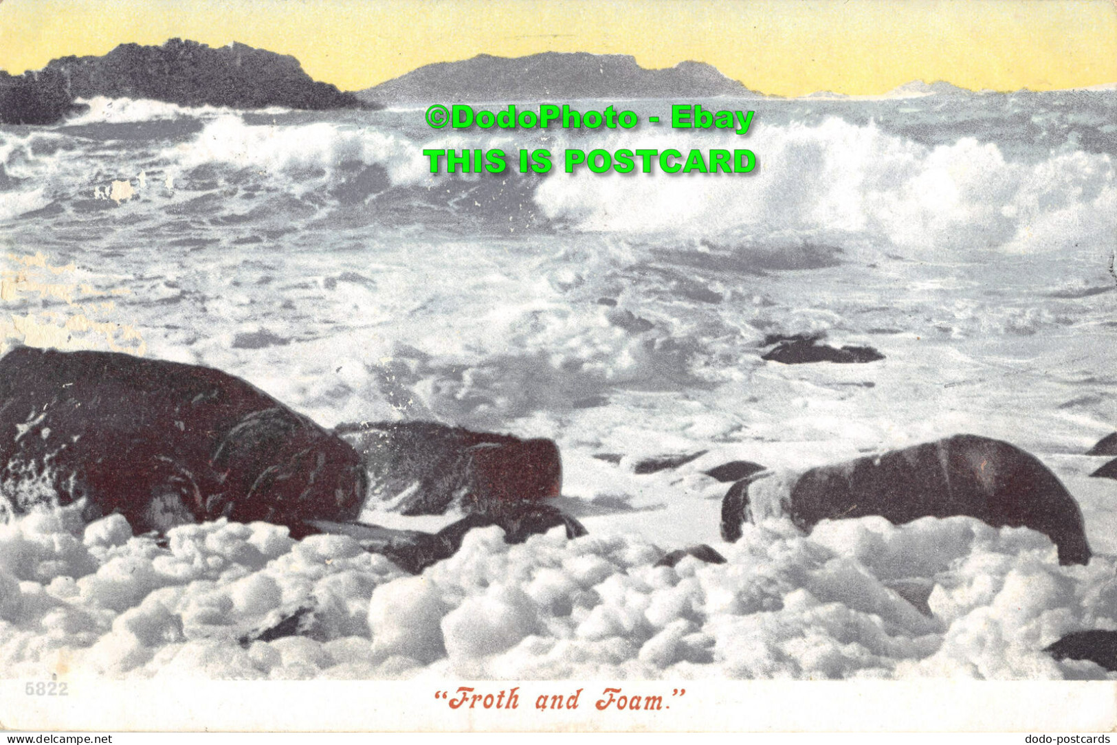 R355173 Froth And Foam. Postcard. 1905 - World