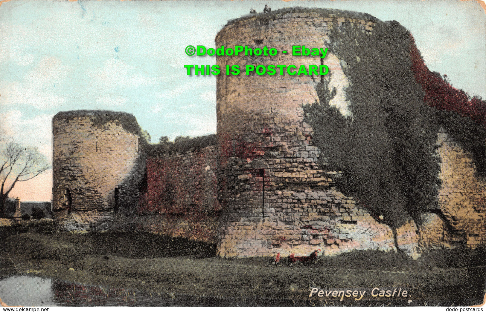 R356764 Pevensey Castle. Brown And Rawcliffe - World