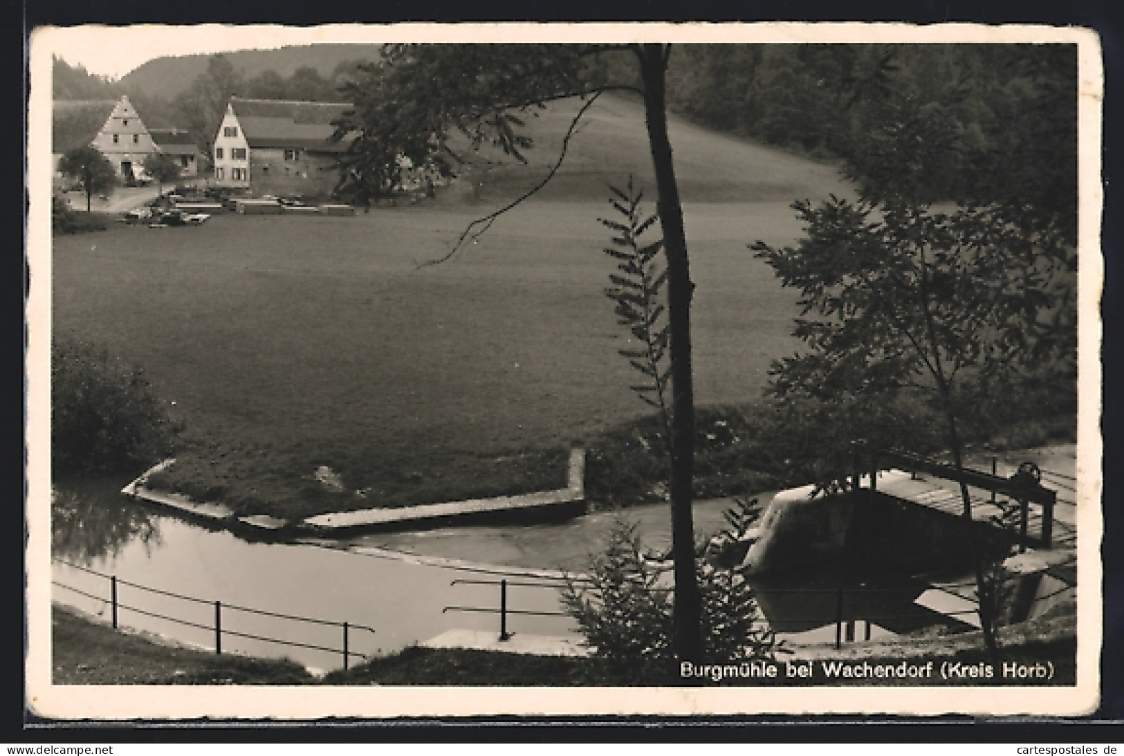 AK Burgmühle Bei Wachendorf, Teilansicht Mit Fluss Und Wiesen  - Autres & Non Classés