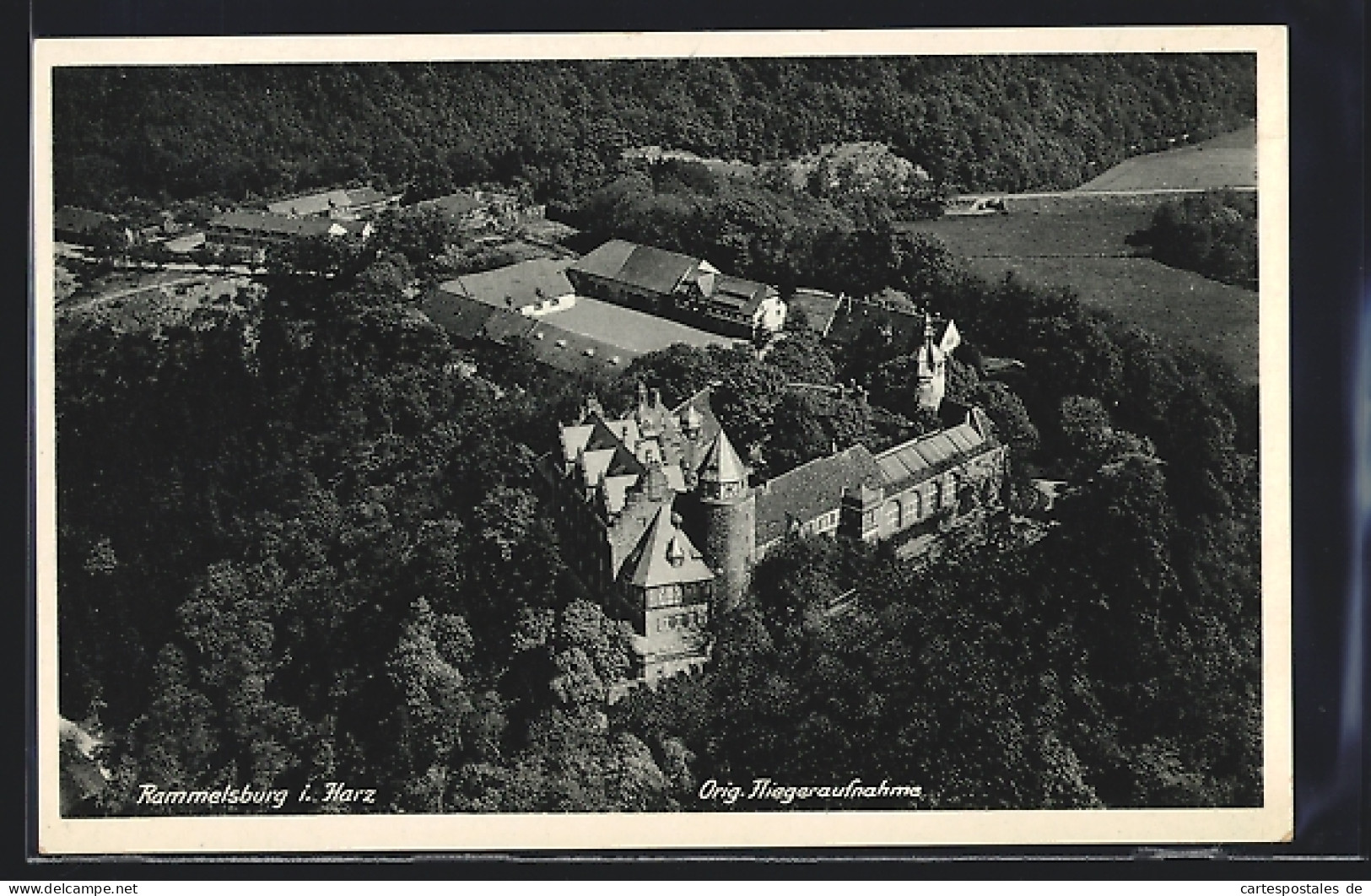 AK Rammelburg / Harz, Burg Rammelburg Vom Flugzeug Aus  - Other & Unclassified