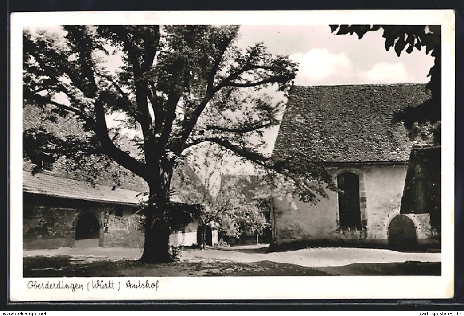 AK Oberderdingen /Württ., Amtshof  - Autres & Non Classés