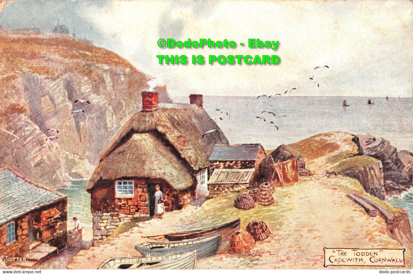 R356256 Jotter. The Todden. Cadcwith. Cornwall. Peacock Pictorette Post Card. Th - World