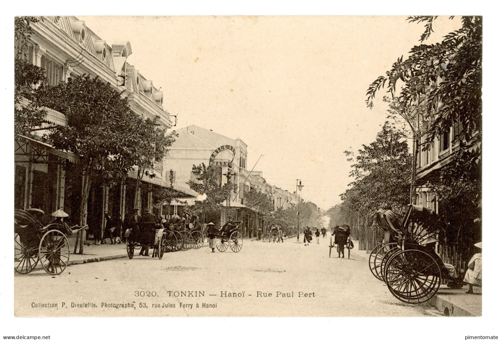 INDOCHINE FRANCAISE VIET NAM TONKIN HANOI RUE PAUL BERT PHARMACIE EMILE - Vietnam