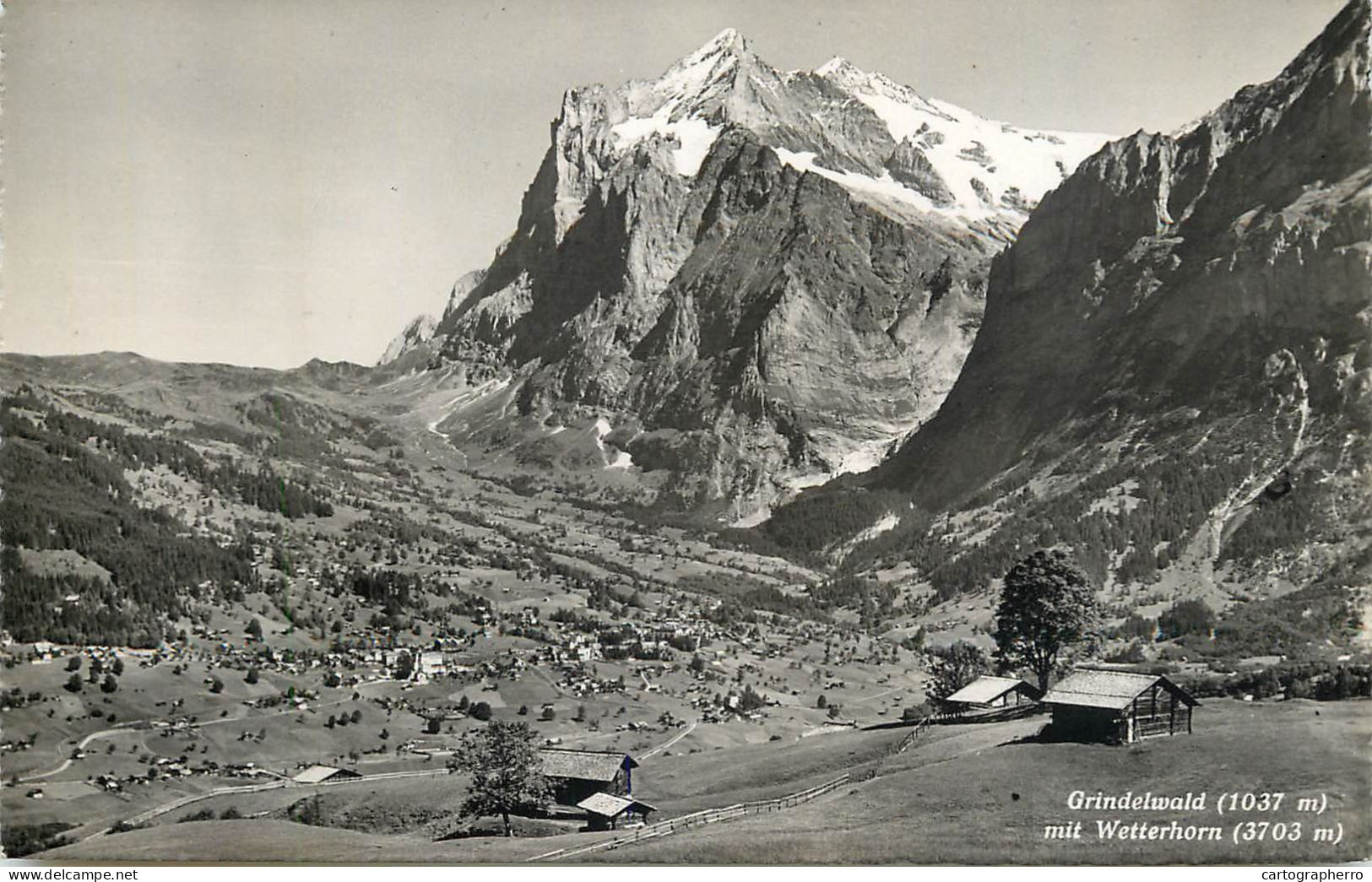 Postcard Switzerland Grindelwald Mit Wetterhorn - Sonstige & Ohne Zuordnung