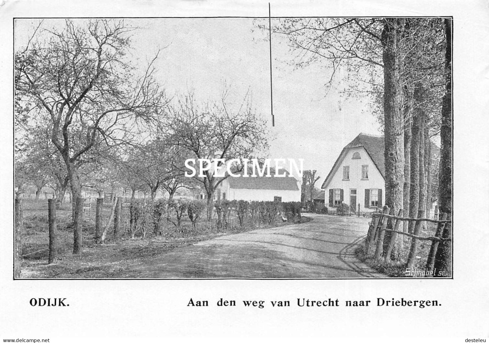 Prent - Aan Den Weg Van Utrecht Naar Driebergen - Odijk  - 8.5x12.5 Cm - Andere & Zonder Classificatie