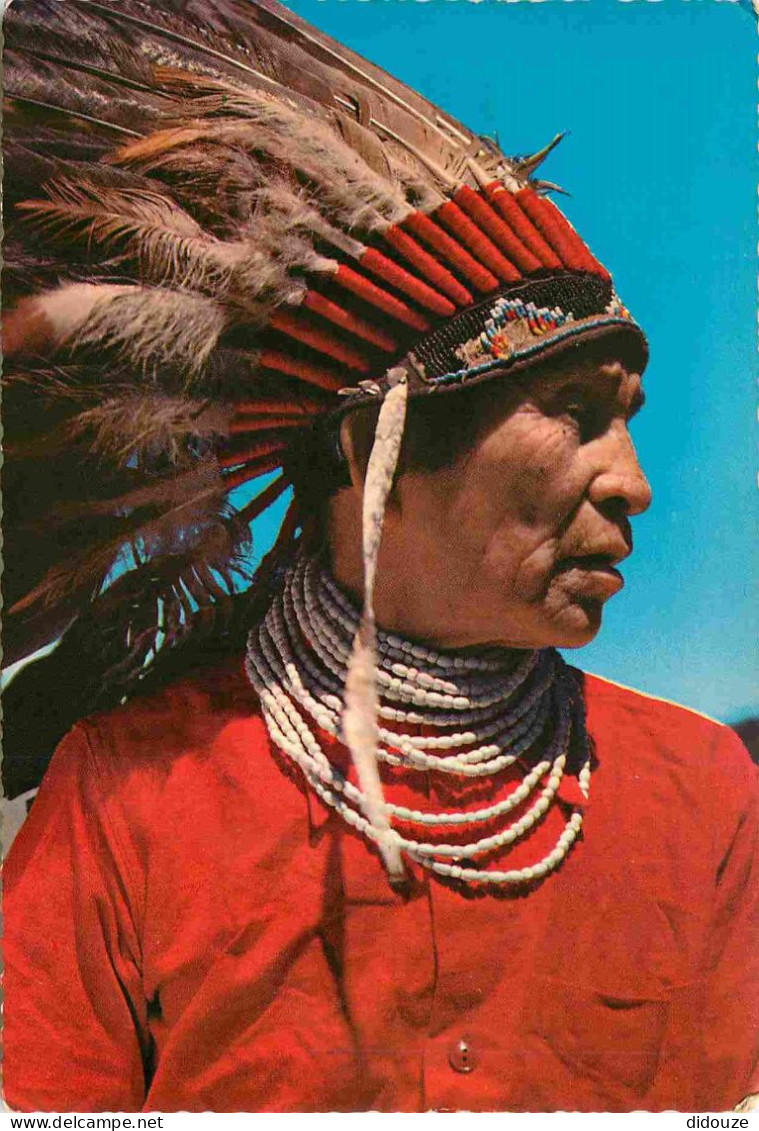 Indiens - Hopi Indian - Arizona - Chef Chief - Carte Dentelée - CPM - Voir Scans Recto-Verso - Native Americans