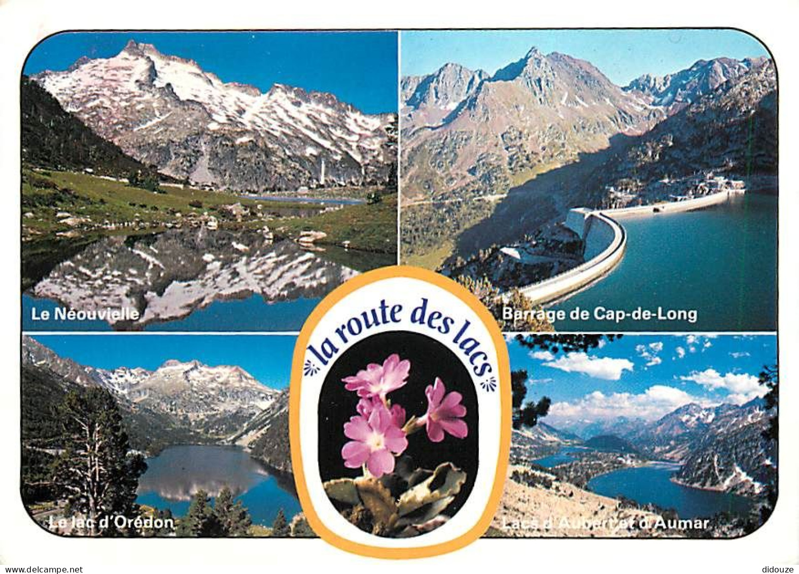 65 - Hautes Pyrénées - La Route Des Lacs - Multivues - Fleurs - CPM - Voir Scans Recto-Verso - Autres & Non Classés