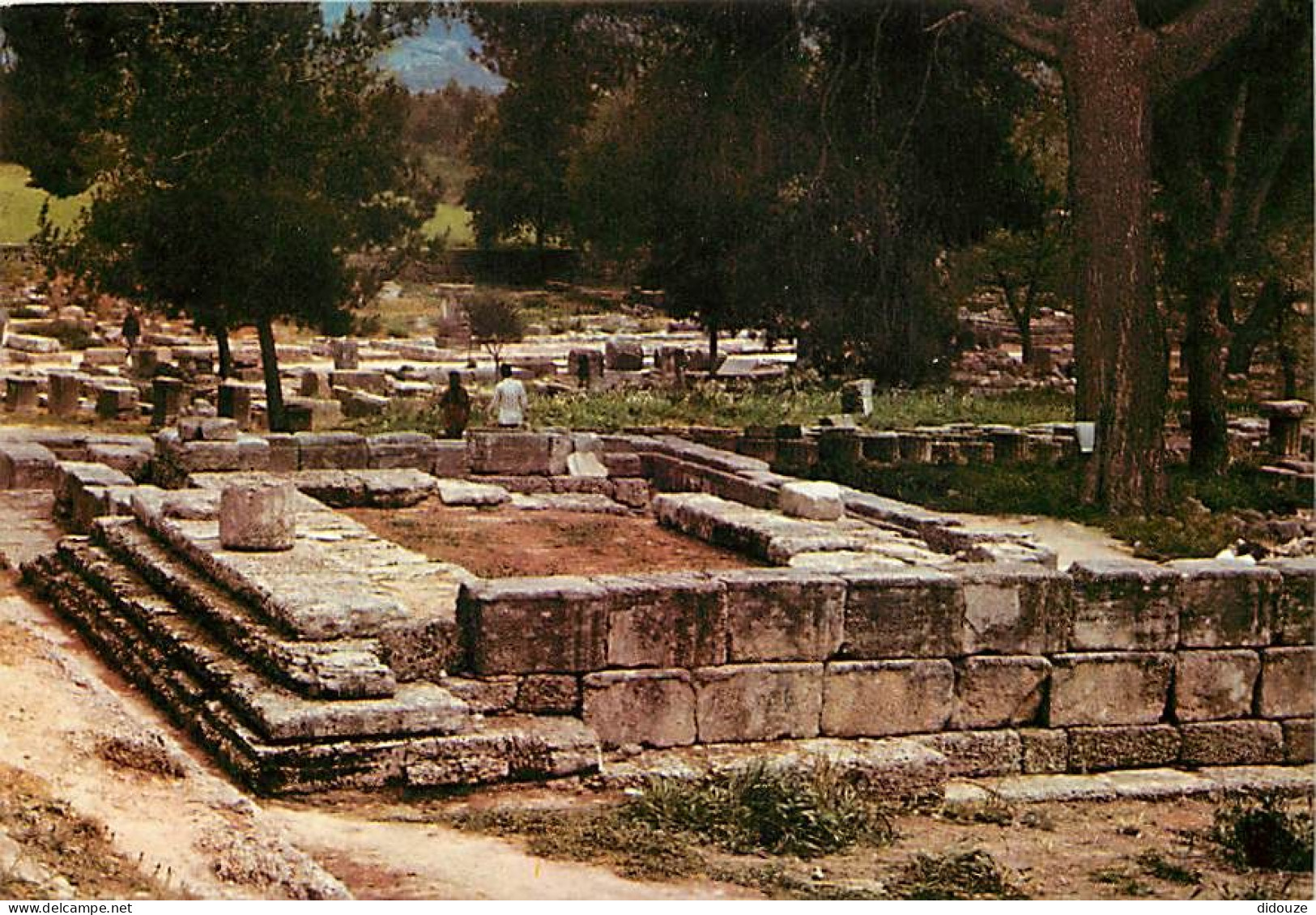 Grèce - Athènes - Athína - Olympie - Le Métroon Du NO - Carte Neuve - CPM - Voir Scans Recto-Verso - Grèce