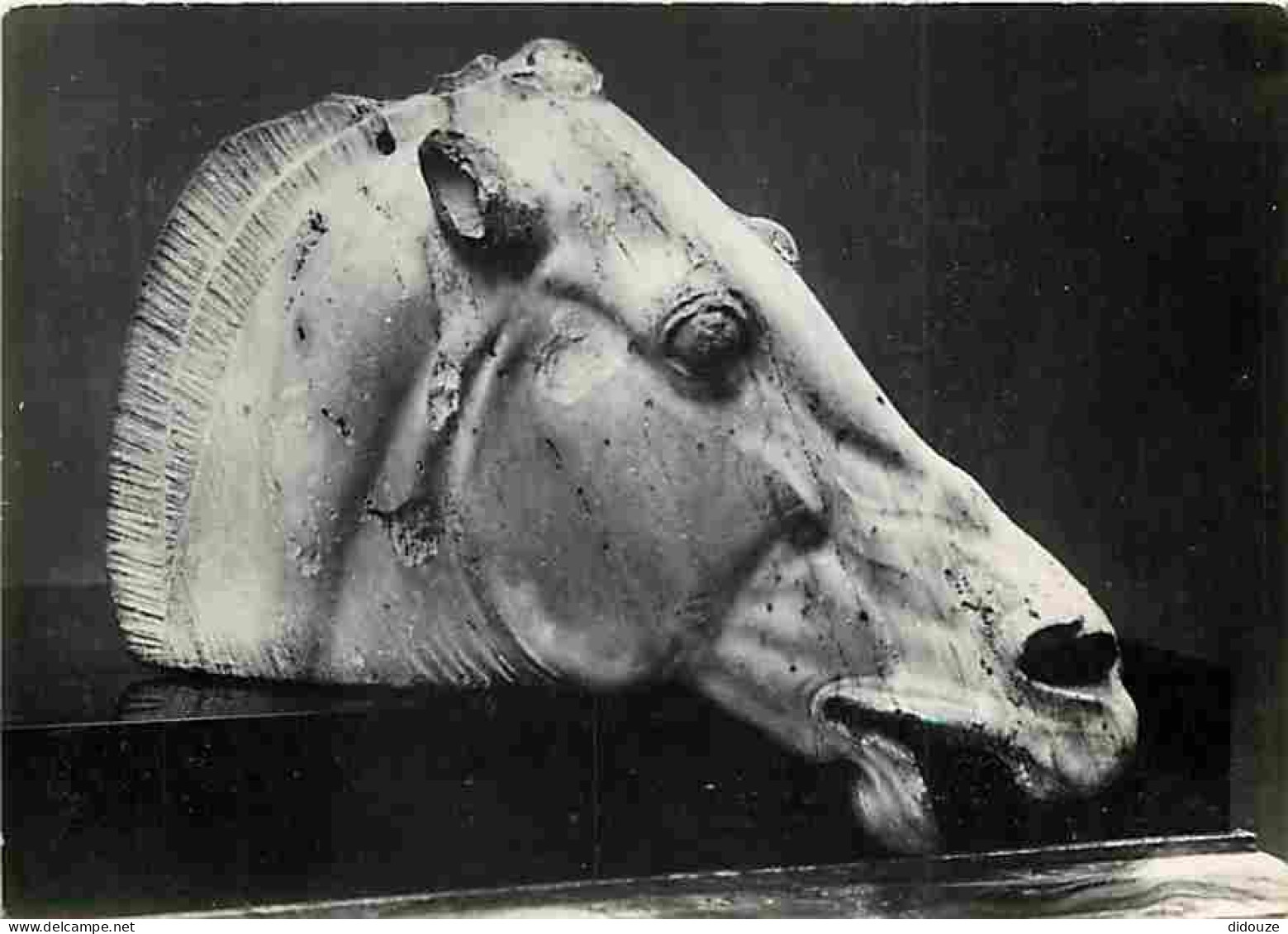 Art - Antiquités - Horse Of Selene - CPM - Voir Scans Recto-Verso - Ancient World