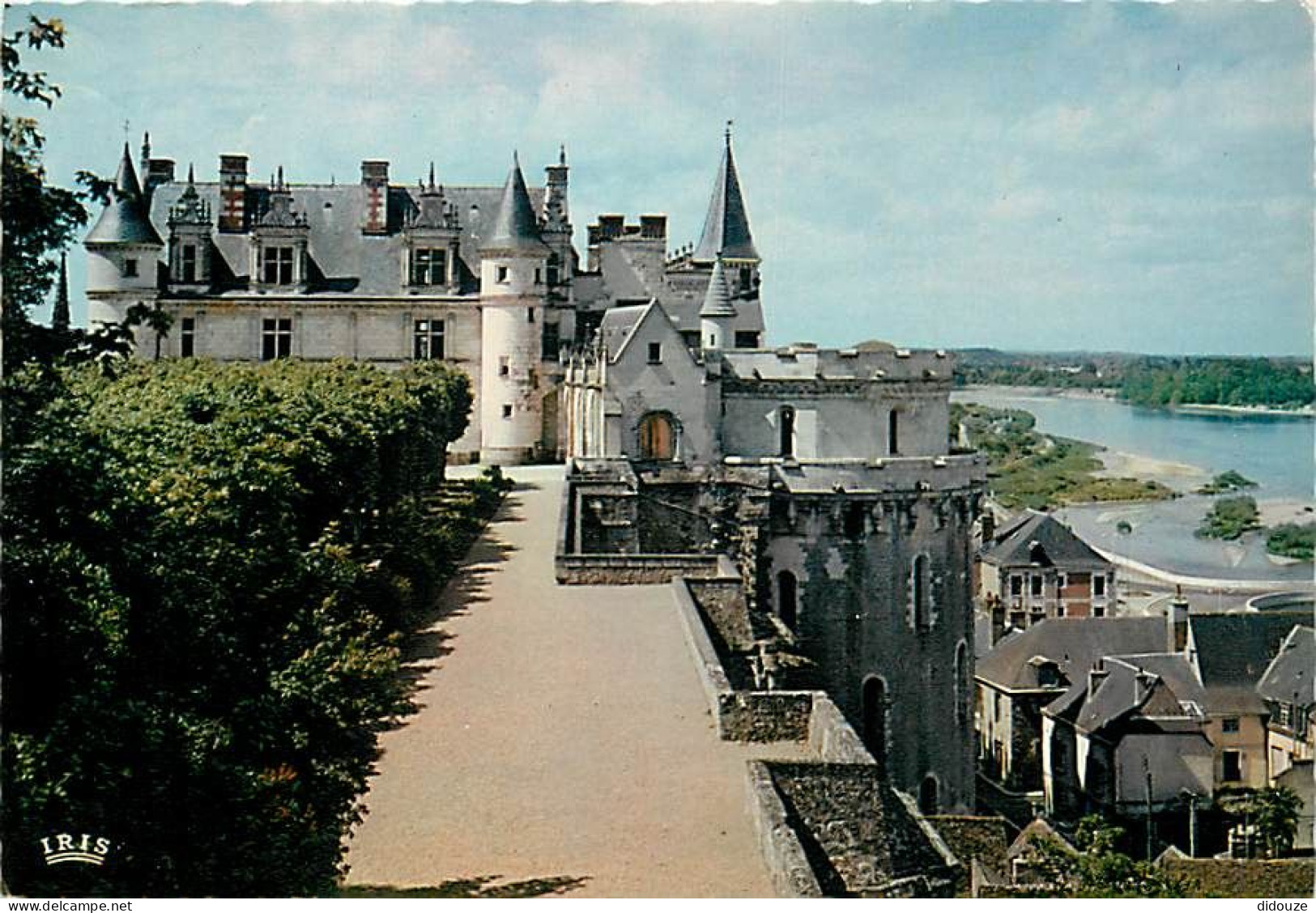 37 - Amboise - Le Château - Tour Des Cavaliers Et Partie Renaissance - Carte Neuve - CPM - Voir Scans Recto-Verso - Amboise