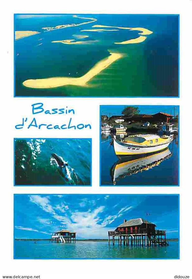 33 - Bassin D'Arcachon - Multivues - Cabanes Tchanquées - Dauphins - CPM - Voir Scans Recto-Verso - Other & Unclassified