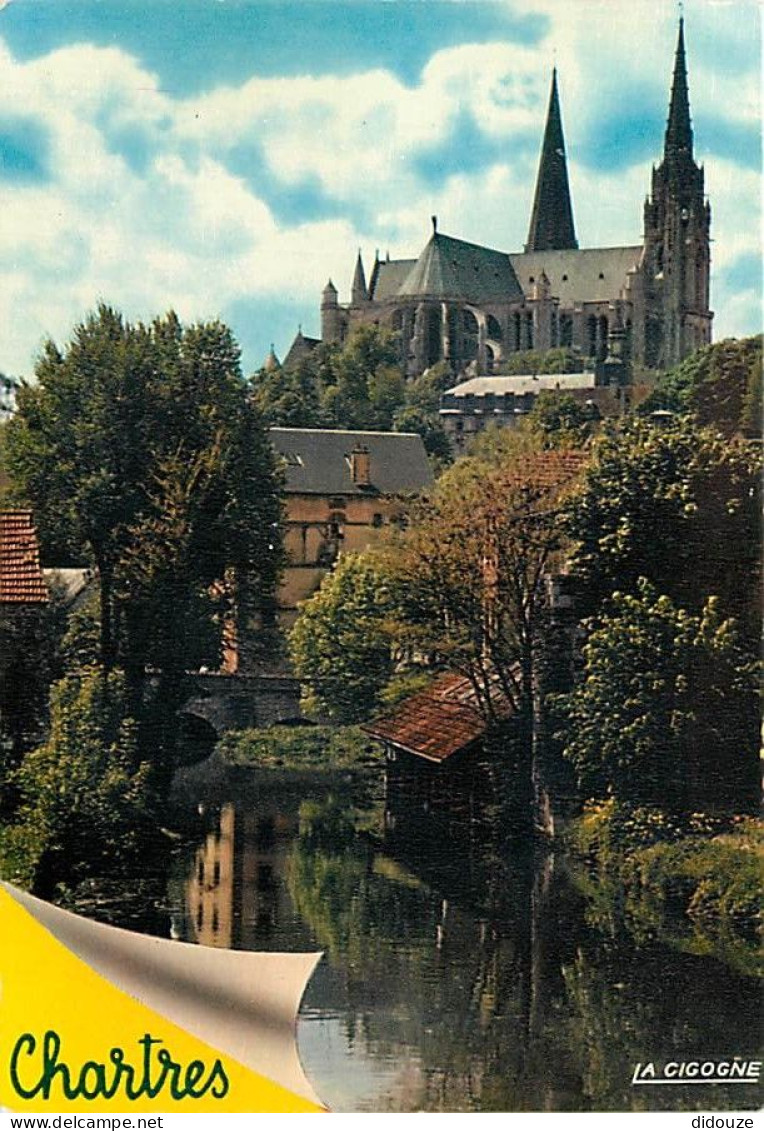 28 - Chartres - La Cathédrale Notre-Dame Et Les Bords De L'Eure - CPM - Voir Scans Recto-Verso - Chartres