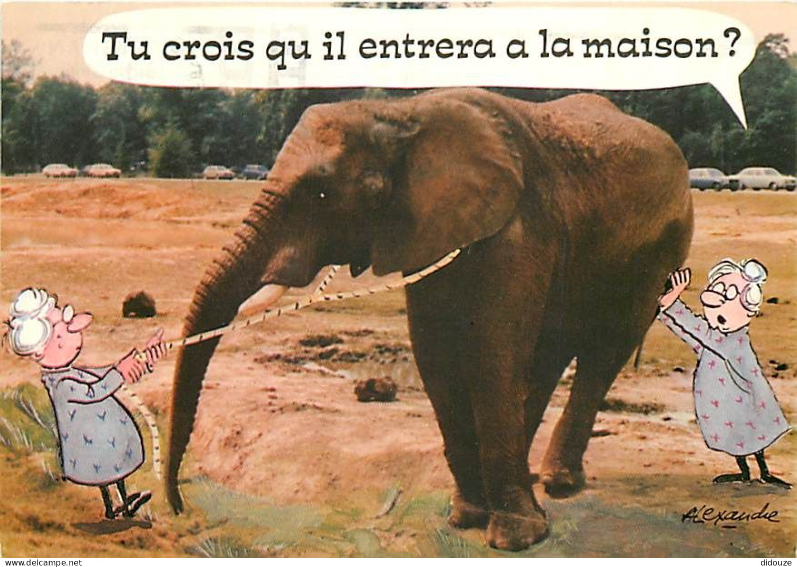 Animaux - Eléphants - Carte Humoristique - Illustration - Illustrateur Alexandre - CPM - Voir Scans Recto-Verso - Elephants