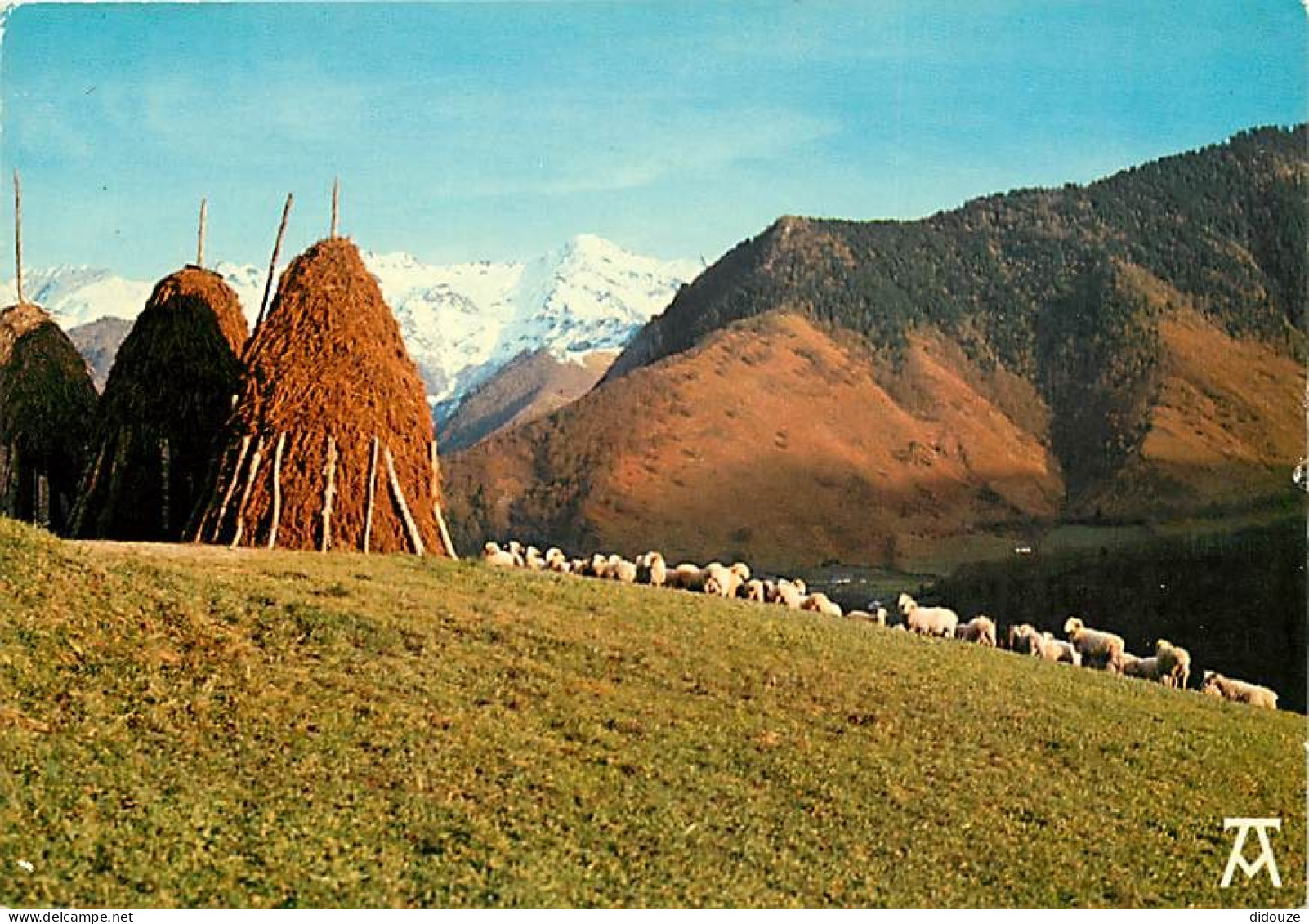 Animaux - Moutons - Pyrénées - La Rentrée Du Troupeau - CPM - Voir Scans Recto-Verso - Andere & Zonder Classificatie
