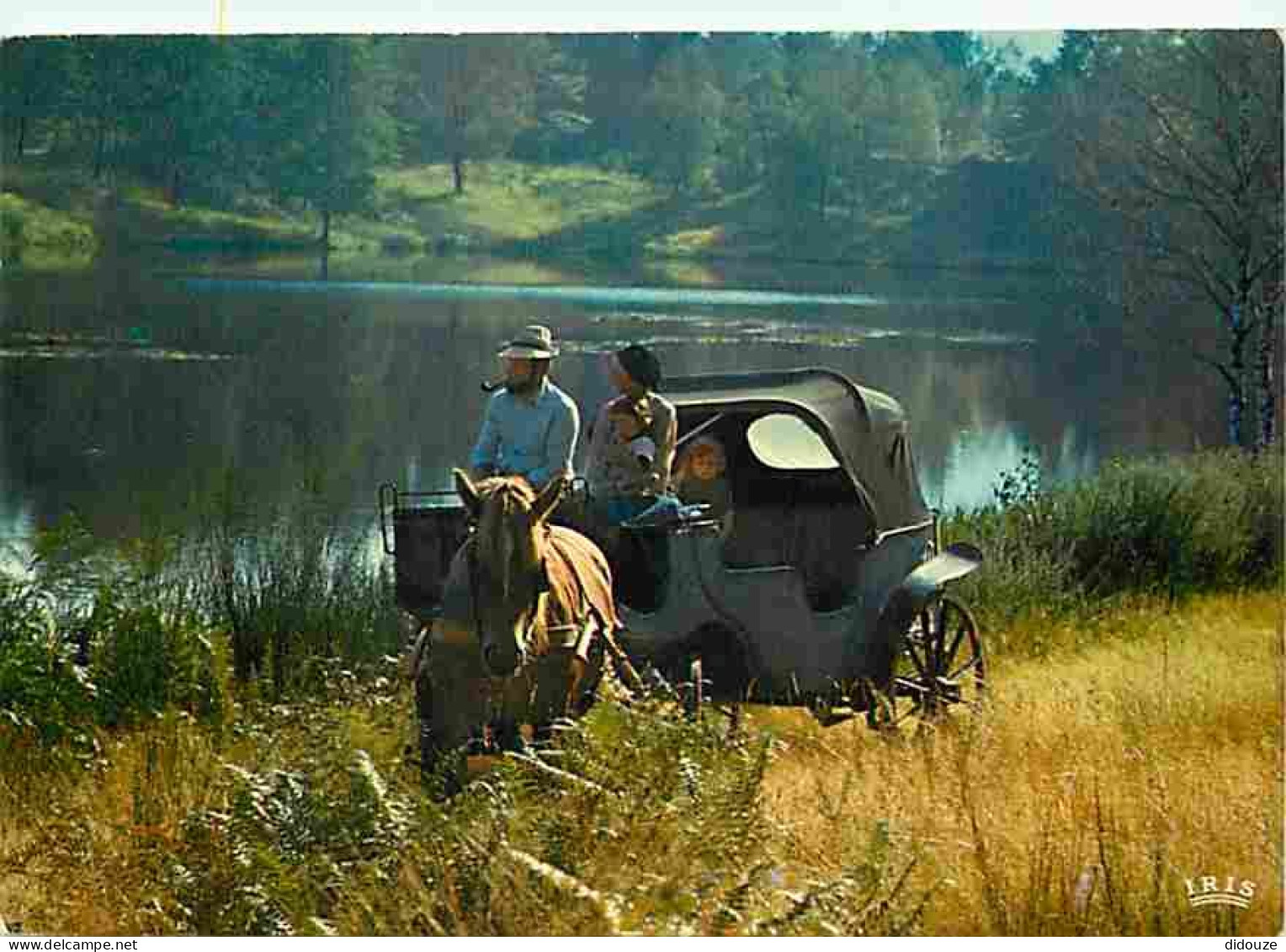 Animaux - Chevaux - Promenade En Calèche - Homme Fumant La Pipe - CPM - Voir Scans Recto-Verso - Horses