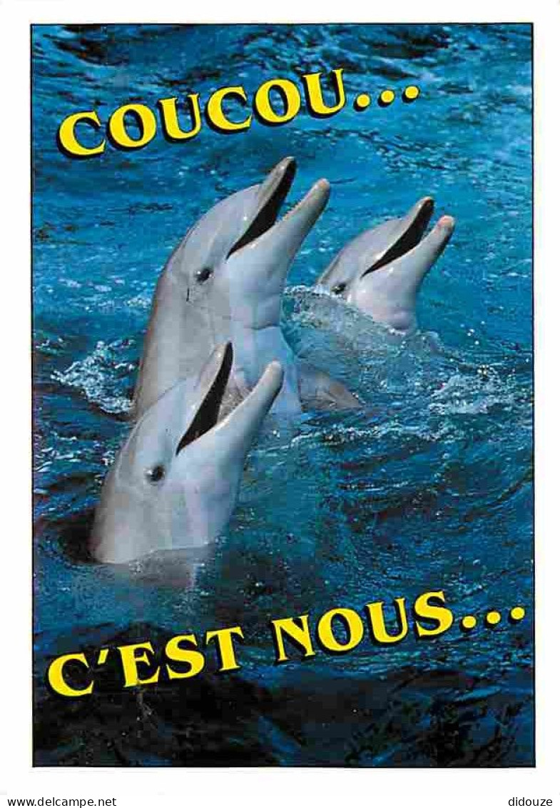 Animaux - Dauphins - CPM - Voir Scans Recto-Verso - Dolfijnen