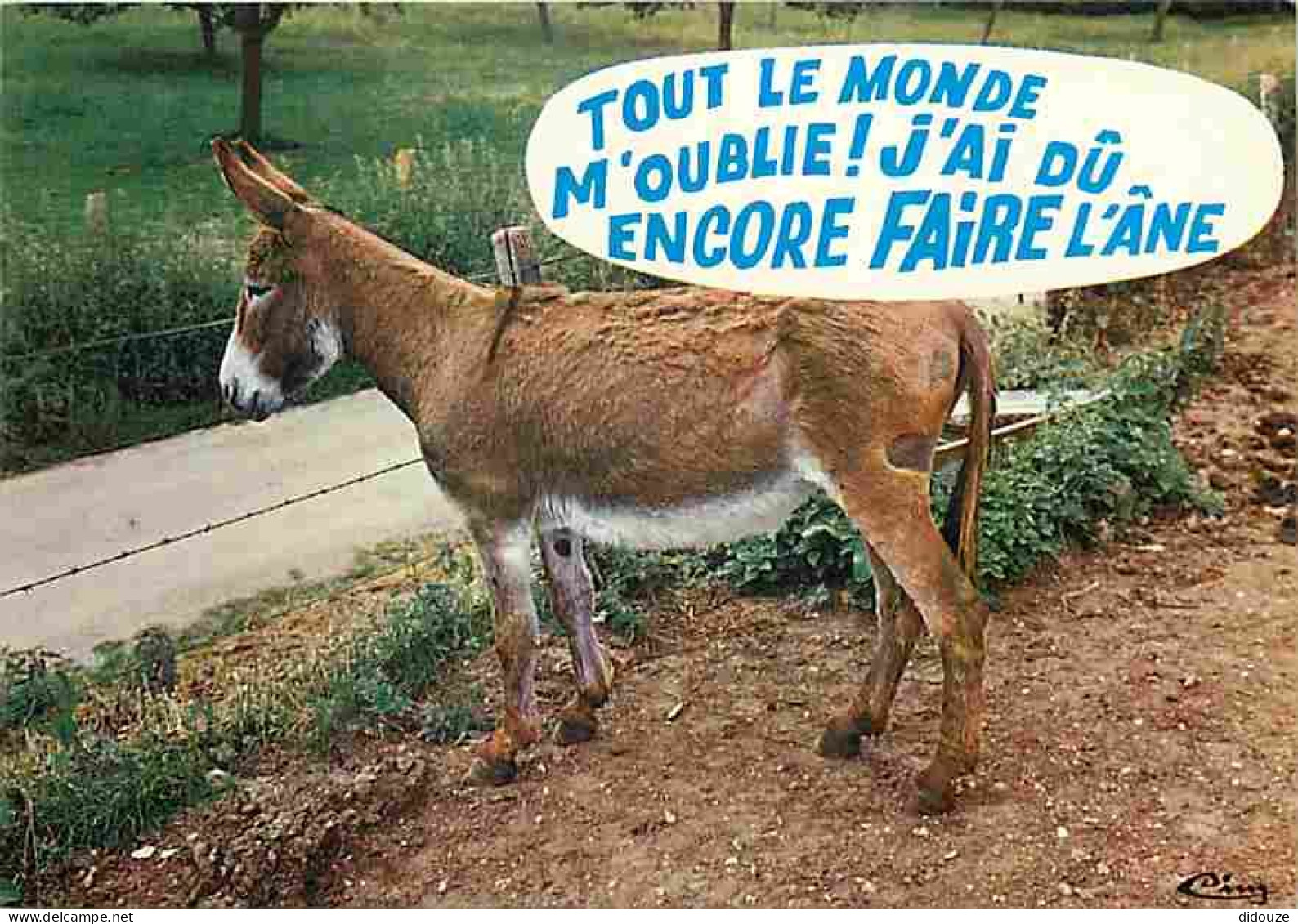 Animaux - Anes - Carte Humoristique - Carte Neuve - CPM - Voir Scans Recto-Verso - Donkeys