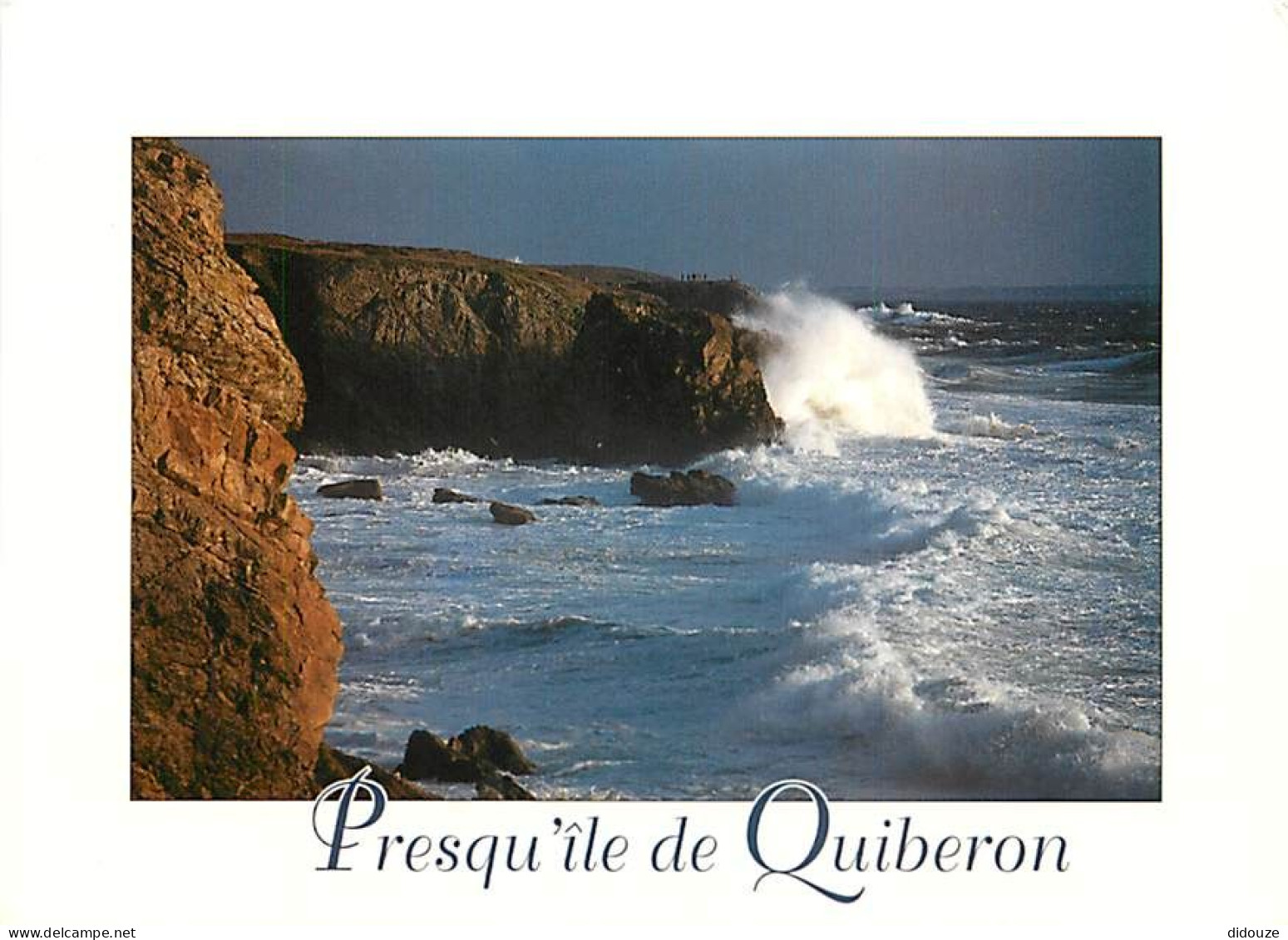 56 - Presqu'Ile De Quiberon - CPM - Voir Scans Recto-Verso - Quiberon
