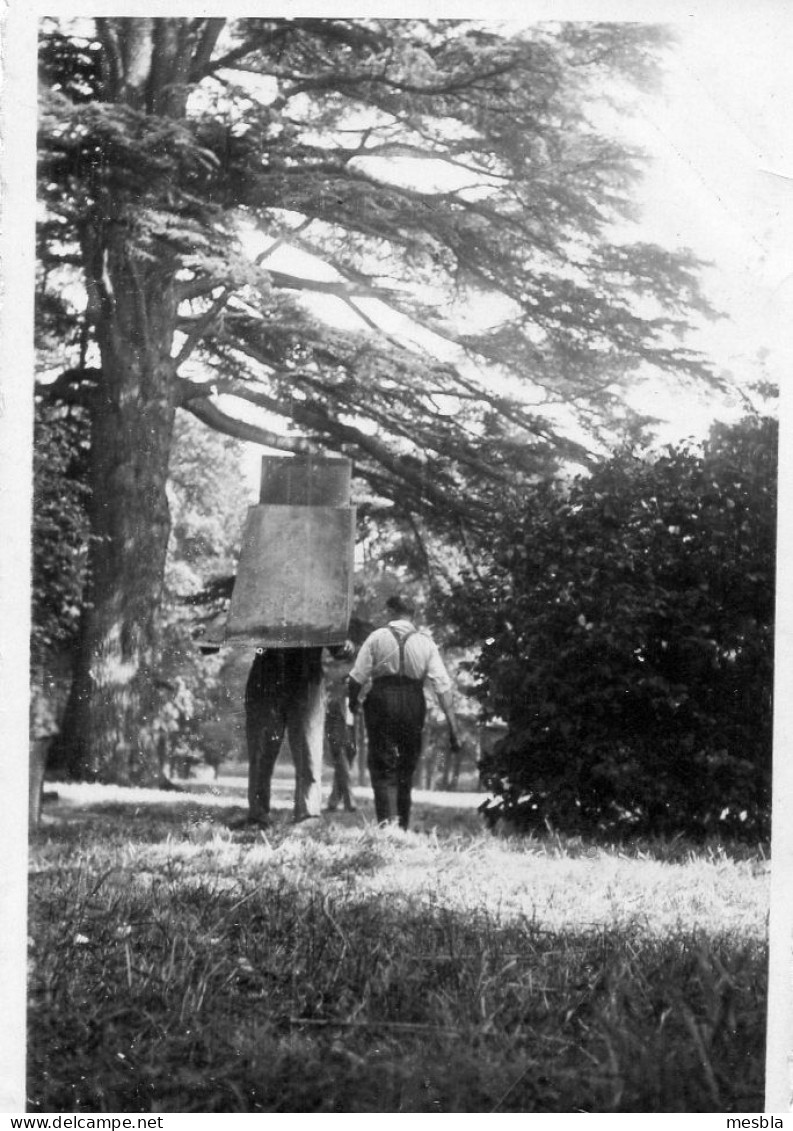 2 Photos Anciennes -  PLESSIS - TREVISE - Installation D' Une Rotissoire Au Chateau ,  1er Juillet 1933. - Lieux